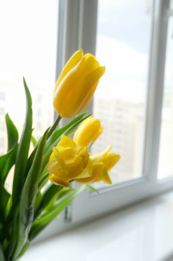 Pencere kenarında sarı lale demeti. Çiçek ve hediye alma kavramı.. 