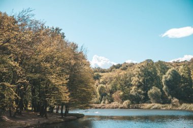 Ukrayna 'da manzara, Kyiv. Güzel bir park ve nehir, zengin doğa. Altın sonbahar, arka plan