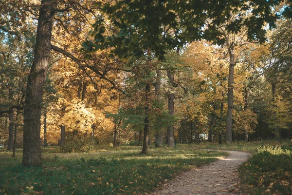 Пейзаж Украине Киев Парк Река Богатая Природа Золотая Осень Фон — стоковое фото