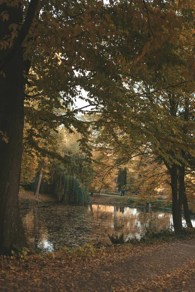 Paesaggio Ucraina Kiev Bellissimo Parco Fiume Natura Ricca Autunno Oro — Foto Stock