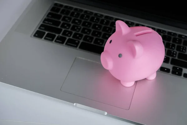 Pink piggy bank  with a laptop.Concept of saving money, make a deposit.Money in save.