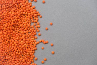 Gri arka planda mercekler. Sağlıklı beslenme kavramı..