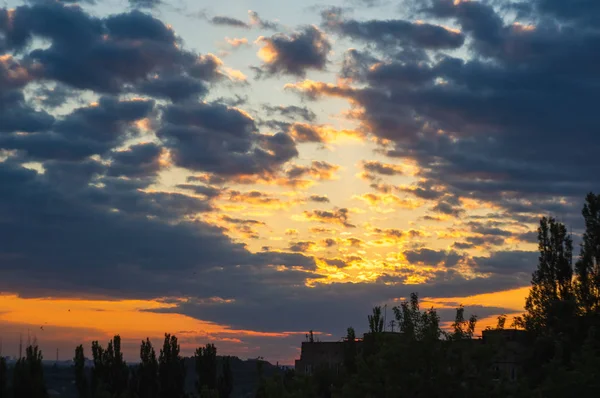 landscape with dramatic light - orange clouds and the outline of trees at sunrise