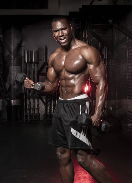 Muskulöser Afrikanisch Amerikanischer Hemdloser Verschwitzter Männlicher Bodybuilding Athlet Macht Langhantelcurls — Stockfoto