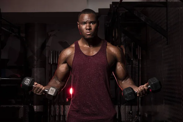 Muskulös Afroamerikansk Skjorta Svettig Manlig Bodybuilding Idrottsman Gör Skivstång Lockar Stockfoto