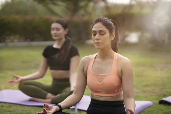 Two Beautiful Brunette Woman Wearing Tight Activewear Performing Yoga Poses — Stock Photo, Image