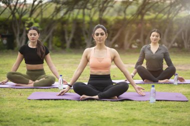  beautiful brunette women wearing tight activewear performing yoga poses in a park 
