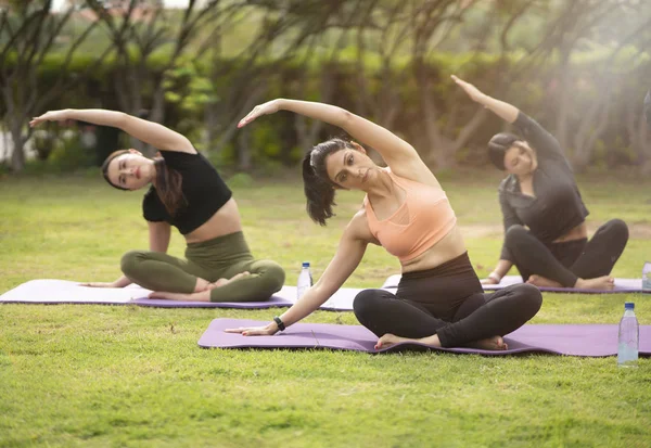 Krásná Brunetka Ženy Sobě Těsné Activewear Představení Jóga Pózuje Parku Stock Obrázky