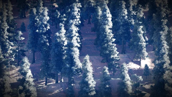 Snow covered Christmas forest in mountains 3d rendering — Stock Photo, Image