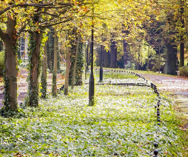 Φθινοπωρινό δρομάκι στο πάρκο — Φωτογραφία Αρχείου