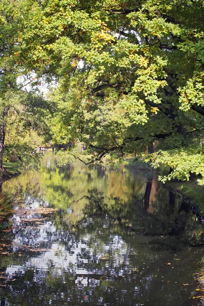 Japanse tuin in Val tijd — Stockfoto