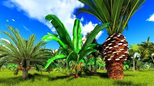 Tropischer Dschungel 3D Illustration — Stockfoto