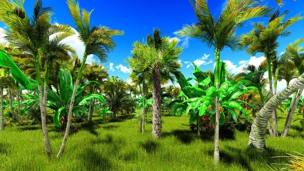 Tropikal orman 3d çizim — Stok fotoğraf