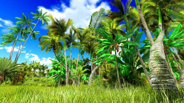 Tropical jungle 3d illustration — Stock Photo, Image