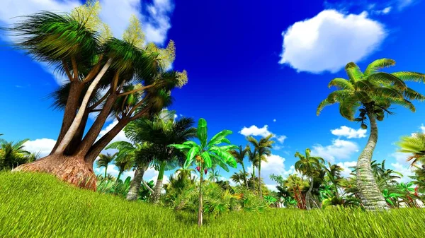 Trópusi dzsungel 3D-s illusztráció — Stock Fotó