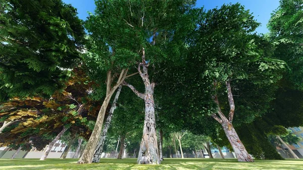 Green city park in sunny and beautiful summer day 3d rendering — Stock Photo, Image