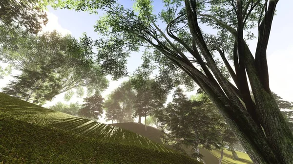 Floresta na margem do lago no verão 3d renderização — Fotografia de Stock