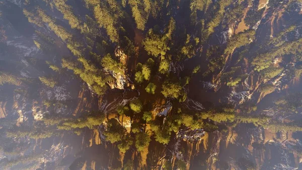 A légi felvétel a Észak-amerikai erdőben esik 3d-leképezés — Stock Fotó