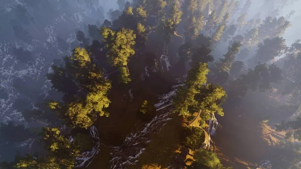 Forêt au bord du lac en été rendu 3d — Photo