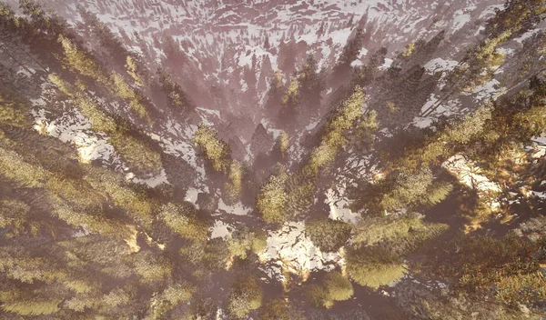 Luftaufnahme eines nordamerikanischen Waldes bei Herbst-3D-Rendering — Stockfoto
