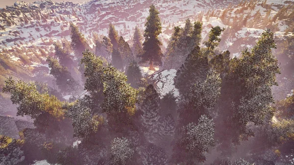Vista aérea de un bosque de América del Norte en el otoño 3d rendering — Foto de Stock