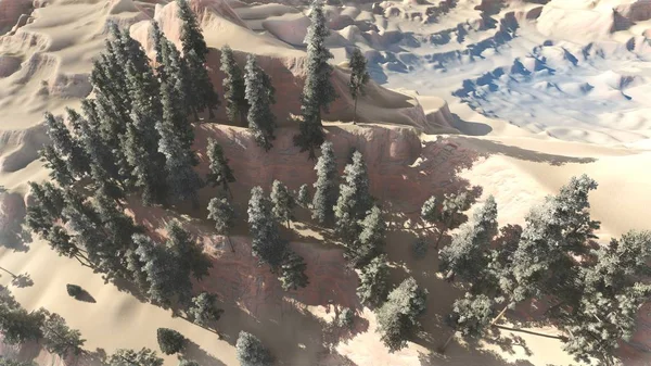 在北美森林鸟瞰落 3d 渲染 — 图库照片