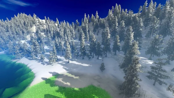 Flygfoto över en nordamerikanska skog på falla 3d-rendering — Stockfoto