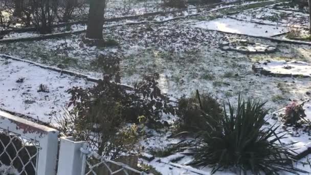 Loteamentos no inverno nevado — Vídeo de Stock