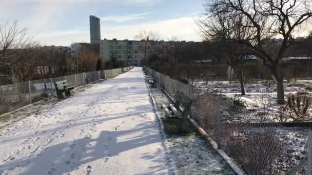 Schrebergärten im schneereichen Winter — Stockvideo