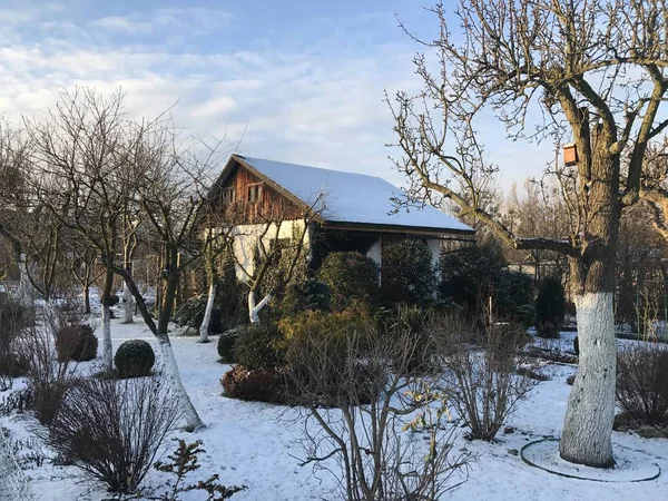 Schrebergärten im schneereichen Winter — Stockfoto
