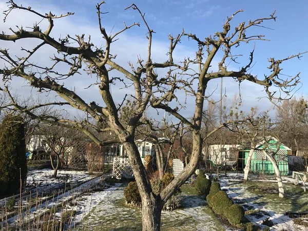 Schrebergärten im schneereichen Winter — Stockfoto