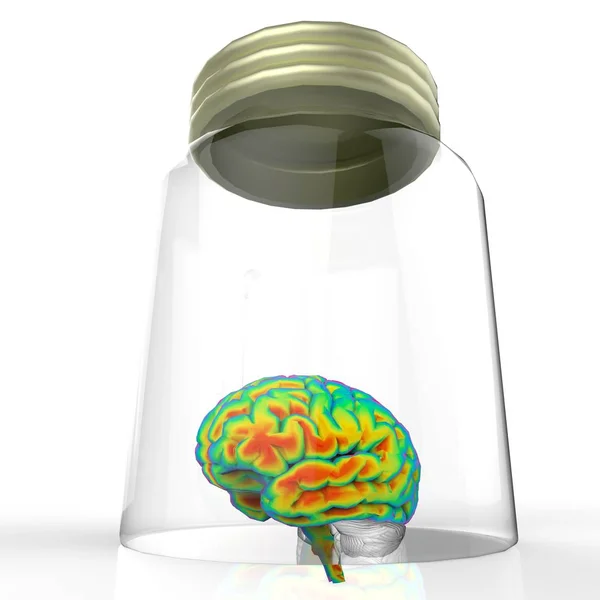Cerebro humano en un frasco de vidrio 3D representación —  Fotos de Stock