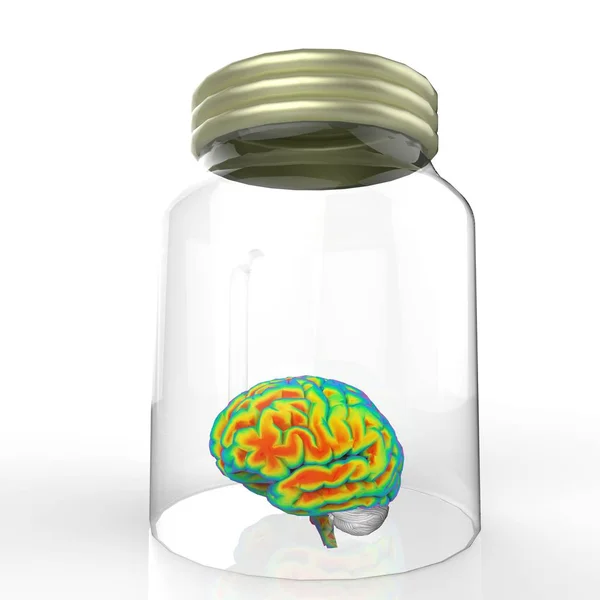Cérebro humano em um frasco de vidro 3d renderização — Fotografia de Stock