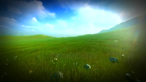 Grass field with rolling hills and wildflowers in Ireland — Stock Video