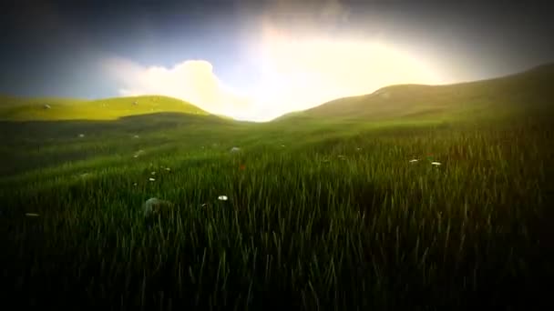 Campo de hierba con colinas onduladas y flores silvestres en Irlanda — Vídeos de Stock
