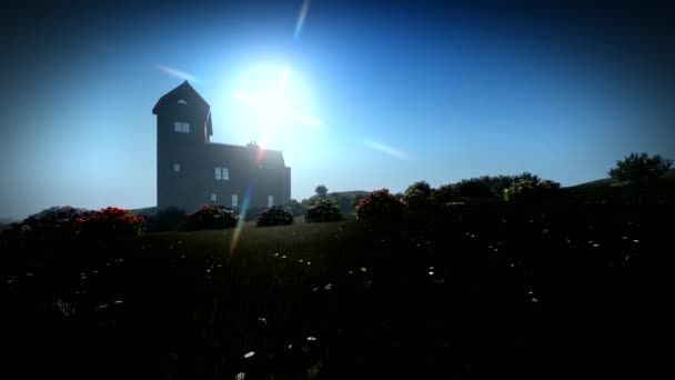 Campo de grama com colinas e flores silvestres na Irlanda — Vídeo de Stock