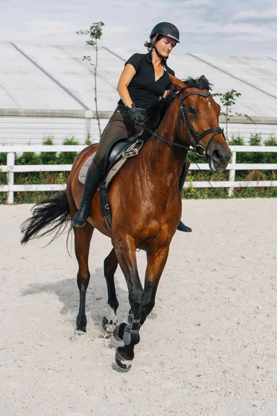 Woman Riding a Horse in Jumper Ring — Stock Photo, Image