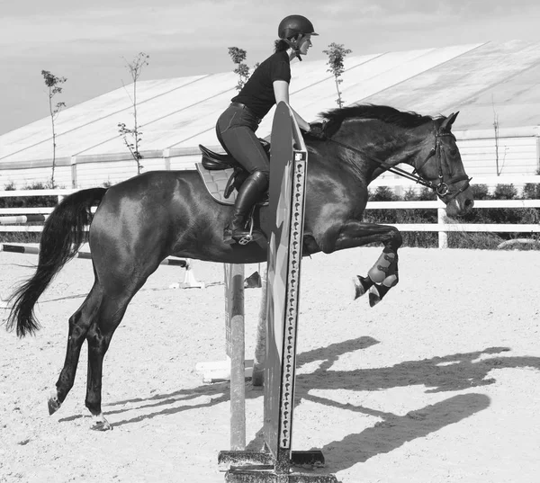 Woman jumping on a horse in Jumper Ring — Stock Photo, Image