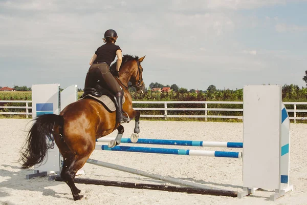 Woman jumping on a horse in Jumper Ring — Stock Photo, Image