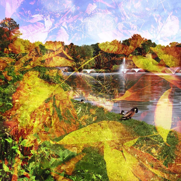 Abstrakte grüne Natur Hintergrund — Stockfoto