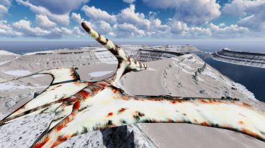 Pterodactyl arazi 3d çizim üzerinde uçan