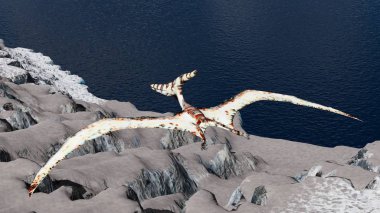 Pterodactyl arazi 3d çizim üzerinde uçan