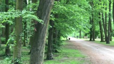 kadın Bisiklete binme