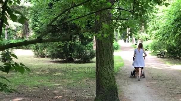 Mère heureuse marchant avec une poussette pour bébé — Video