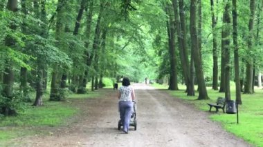 Mutlu anne bebek arabası ile yürüyüş