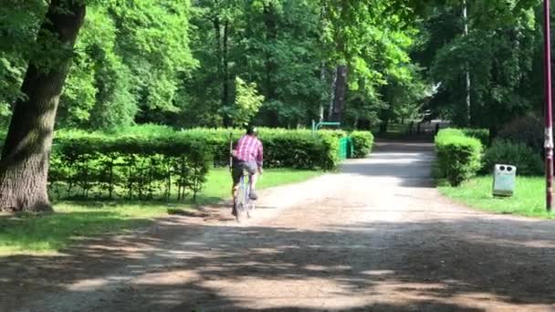 Mann reitet im Park — Stockvideo