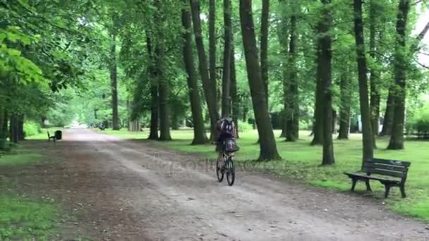 Mann reitet im Park — Stockvideo