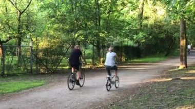 üst düzey çift parkta sürme