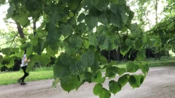 Hombre montando en el parque y corredor — Vídeos de Stock