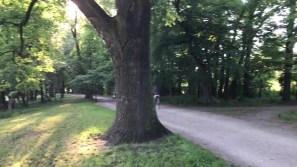 Gente montando en sus bicicletas en el parque — Vídeos de Stock